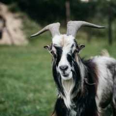 HK_Funky-Dub-Trap_tracks_13