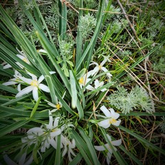 Flip Like A Switch (Freestyle)