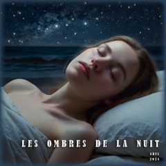 Les Ombres De La Nuit