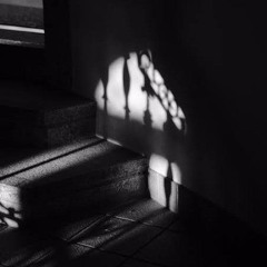 Shadow Steps (Remix).mp3