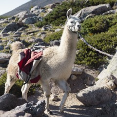 Party Sahne x I told You Once