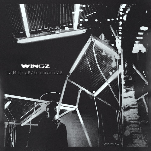 Wingz - Light Up VIP