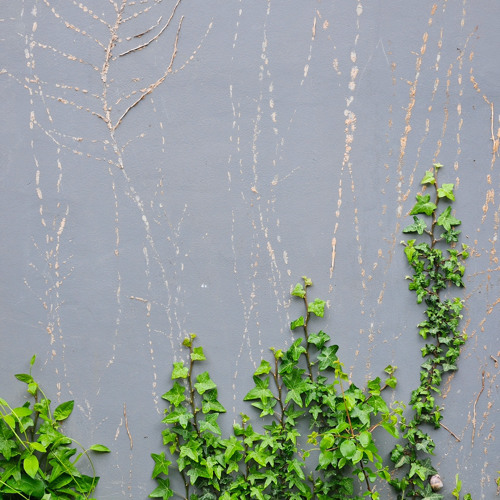 Sur Les Traces De Ses Aïeux