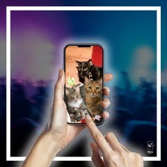 lemmetellyaboutmycat (ft. sam.ro.chelle & Rhys Langston)