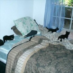 alusem - deep breathes