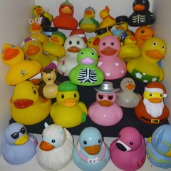 Squishy Salad Ducky. Lyrics in Desc