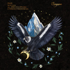 Dream Controller EDM AI Playlist - 2025-11-09 00:55:09.495