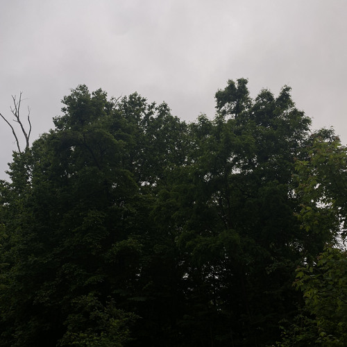 yeat - on da line (prod by blaccmass)