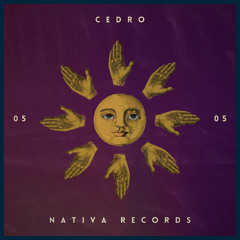 Cedro | Sol Nativo #05