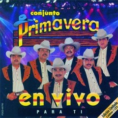 CONJUNTO PRIMAVERA MIX EN VIVO