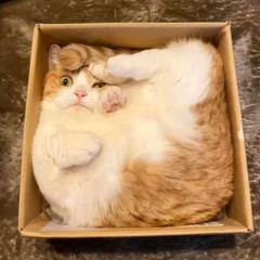 Wiggyz&Rasta4eyes B2B Jungle mix