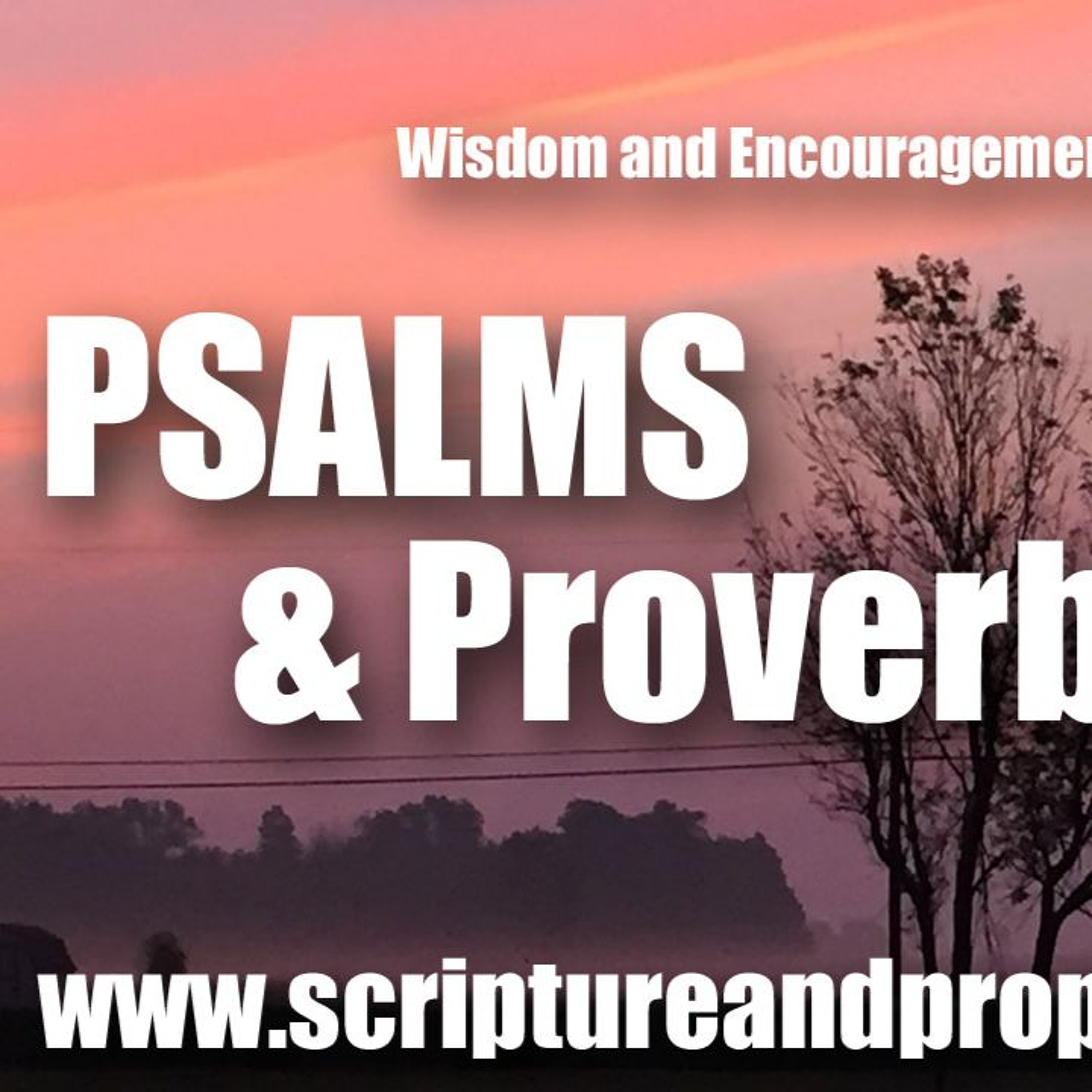 Scripture & Prophecy - Weekly Bible Studies