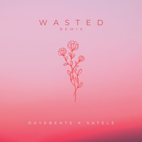 Wasted Remix w/Satele