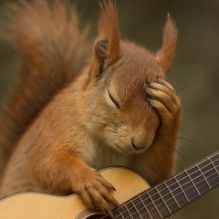 Kopfschmerz Blues Zum Freitag