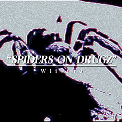 SPIDERS ON DRUGZ