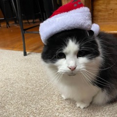 golden - kpop demon hunters (phoned in elec guitar cover)