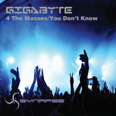 Gigabyte - 4 The Masses