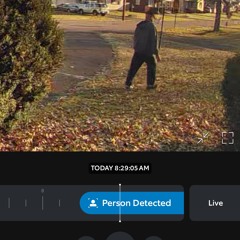 Ninjas in the Backyard