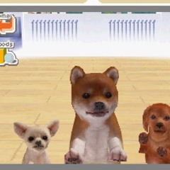 snippets w/ 9am, grace, zejjjp, vånda, luna