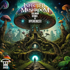 Infected Mushroom Suliman Remix By XperienceX