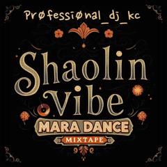 shaolin vibe mara dance mixtape_JOIN.mp3
