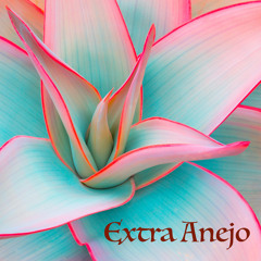 Extra Anejo - Afro & Organic House Set @ OrganiCali - Pina 12/18/21