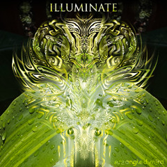 Entangled Mind - Illuminate