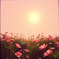 🎶 TODO DIA É ANO NOVO