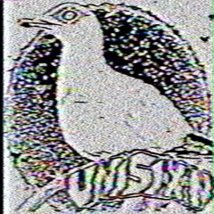 JUB & HELP7 - GULL (unisixn VIP) [FREE DL]