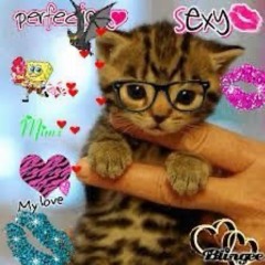 all my songs