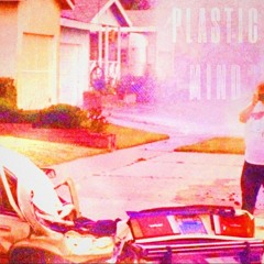 Plastic Mind