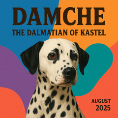 Damche - The Dalmatian of Kastel ( August 2025 )