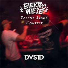 Elektro Wiese 2025 Talent-Stage Contest | DVSTD