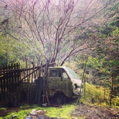 backyard -- ambient reflective