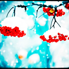 Djanzys Winter MixTape 2024 / 2025