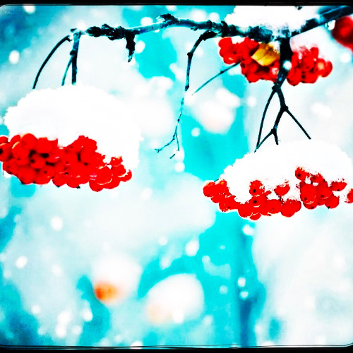 Djanzys Winter MixTape 2024 / 2025