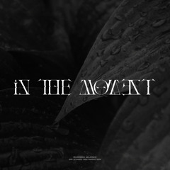 VJERO - In the Moment (Official Audio)