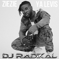 Show Me - Montre Moi - Ghetto Zouk Remix - Dj Radikal
