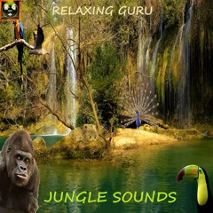 Music tracks, songs, playlists tagged rainforest sounds on SoundCloud