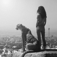 Sakhte Moltafet _ hichkas & fadaei & qaf & dariush (Remix).mp3