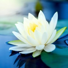 T.SWOF's quicky mix #3