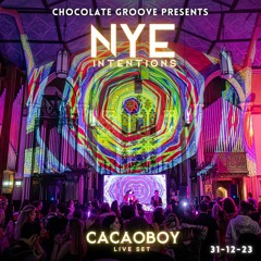LIVE at the Chocolate Groove New Years Eve Ecstatic Dance Party