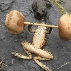 Sucks to be Hugh, man.