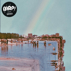 Indie Pop / Rock Playlist | BIRP! July 2023