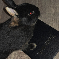 death note