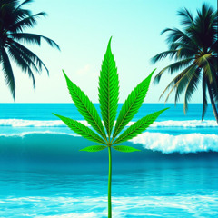 Smoke King in Jamaica