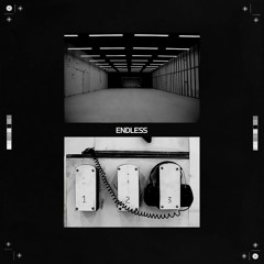 Frank Ocean - Endless [Full Album] [CDQ].mp3