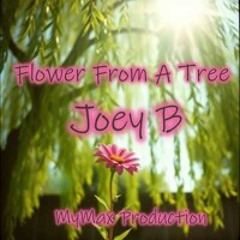 Flower From A Tree