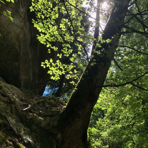 𝐒𝐨𝐦𝐞𝐭𝐢𝐦𝐞𝐬𝐈𝐟𝐢𝐧𝐝𝐏𝐞𝐚𝐜𝐞…