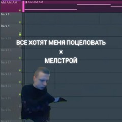 все хотят меня поцеловать(mellstroy mashup)